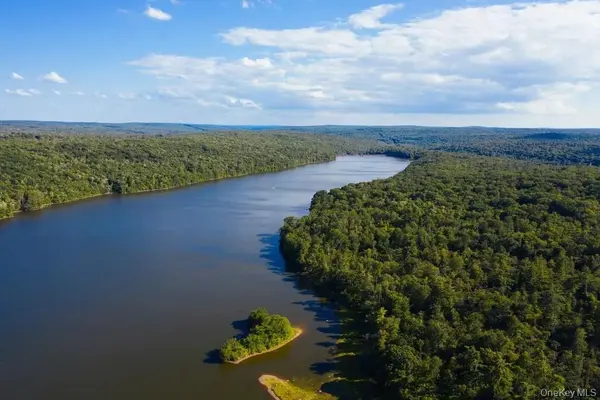 Lot 1 Woodstone Trail, Lumberland, NY 12737