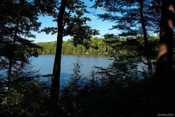 Lot 2 Woodstone Trail, Lumberland, NY 12737