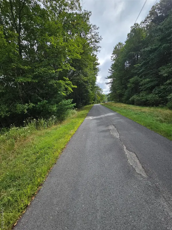 Flower Ave. & State Route 55, Kauneonga Lake, NY 12720