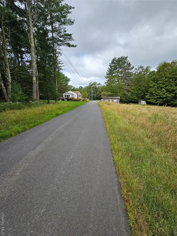 Flower Ave. & State Route 55, Kauneonga Lake, NY 12720