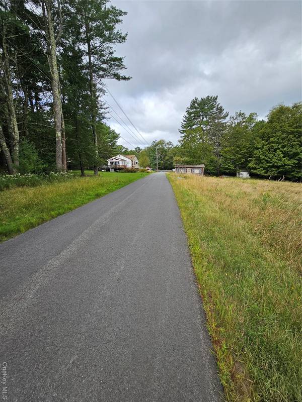 Flower Ave. & State Route 55, Kauneonga Lake, NY 12720