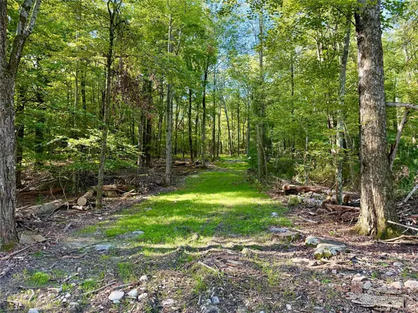 Mt Prosper RD, Wurtsboro, NY 12790
