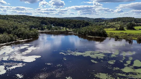 TBD George Segar RD, Swan Lake, NY 12783