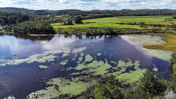 TBD George Segar RD, Swan Lake, NY 12783
