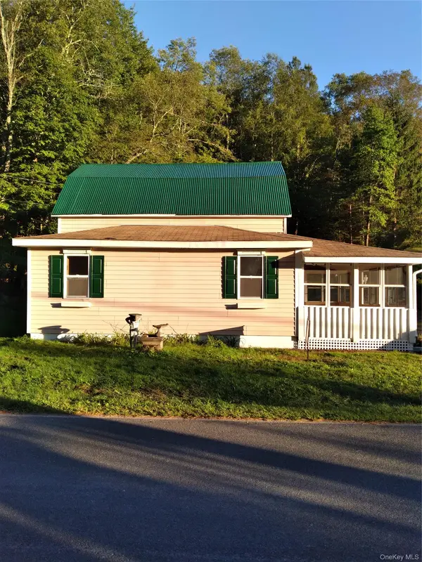 31 Willowemoc RD, Livingston Manor, NY 12758
