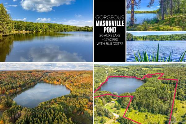 0 Masonville Pond Cummings RD, Call Listing Agent, NY