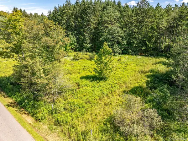 0 Masonville Pond Cummings RD, Call Listing Agent, NY