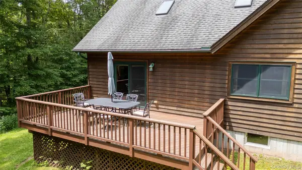 384 Morton Hill RD, Roscoe, NY 12776