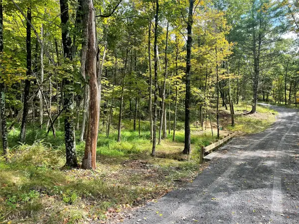 Lot #2 Church Rd, Red Hook, NY 12571