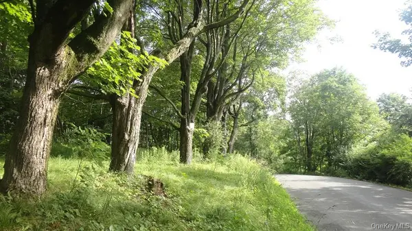 Henry RD, Cragsmoor, NY 12420
