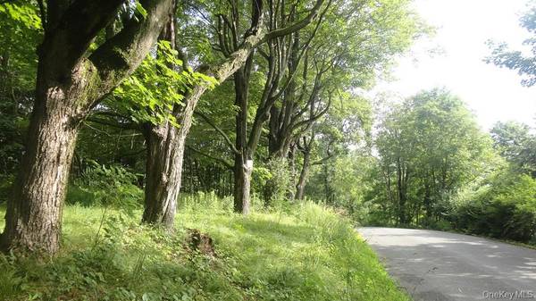 Henry RD, Cragsmoor, NY 12420
