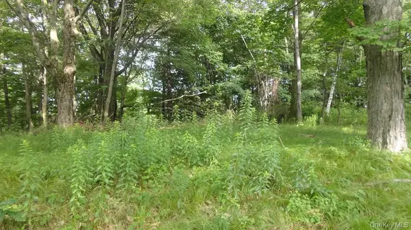 Henry RD, Cragsmoor, NY 12420
