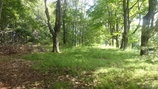 Henry RD, Cragsmoor, NY 12420