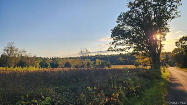 647 Irish Cape RD, Ellenville, NY 12428