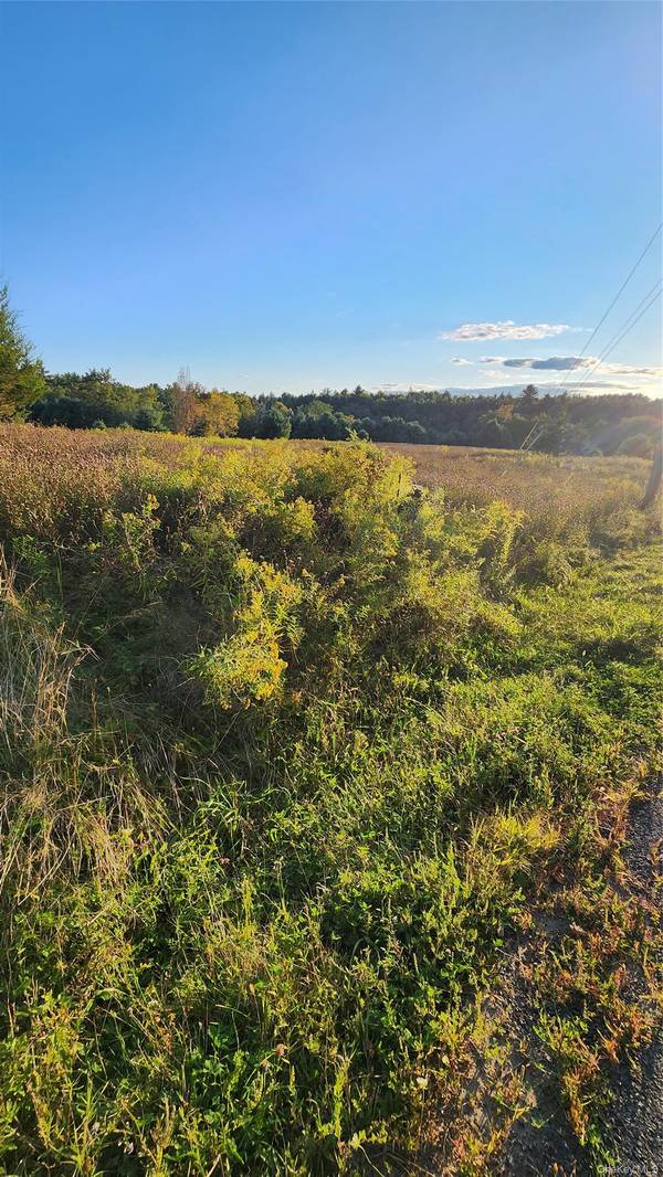 647 Irish Cape RD, Ellenville, NY 12428