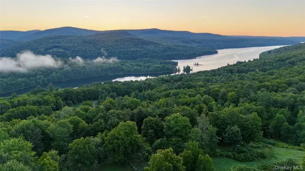 TBD State Route 55 and Smith Lane, Neversink, NY 12765