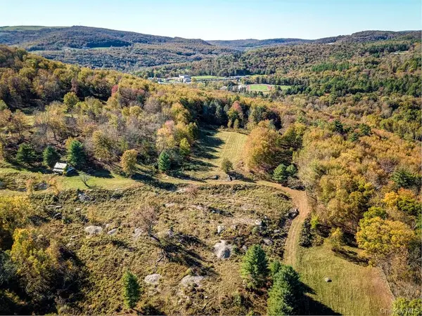 TBD State Route 55 and Smith Lane, Neversink, NY 12765