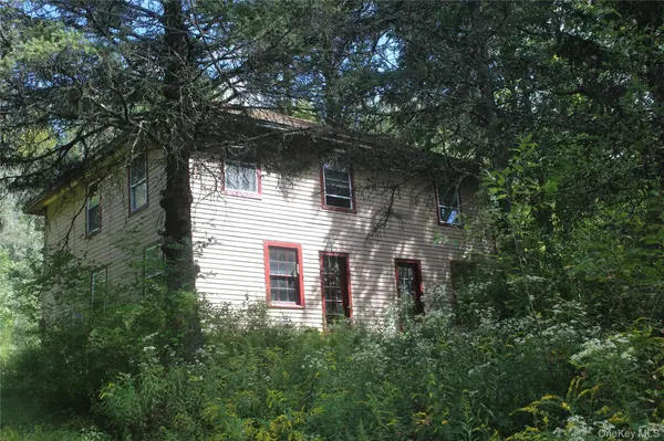 1934 Morton Hill RD, Roscoe, NY 12776