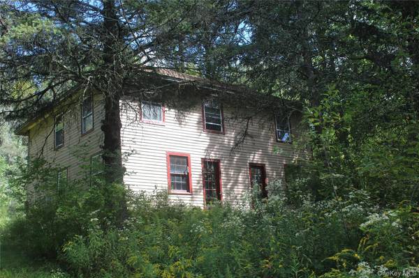 1934 Morton Hill RD, Roscoe, NY 12776