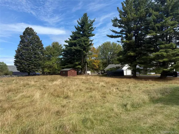 Hall RD, Grahamsville, NY 12740