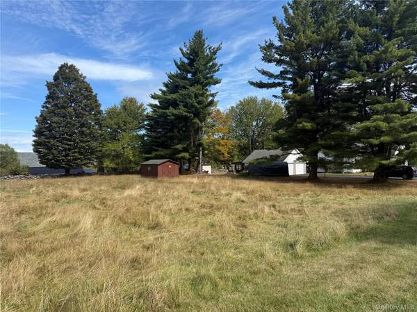 Hall RD, Grahamsville, NY 12740