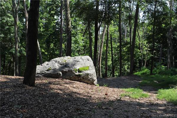 Mountain Farm RD, Tuxedo Park, NY 10987