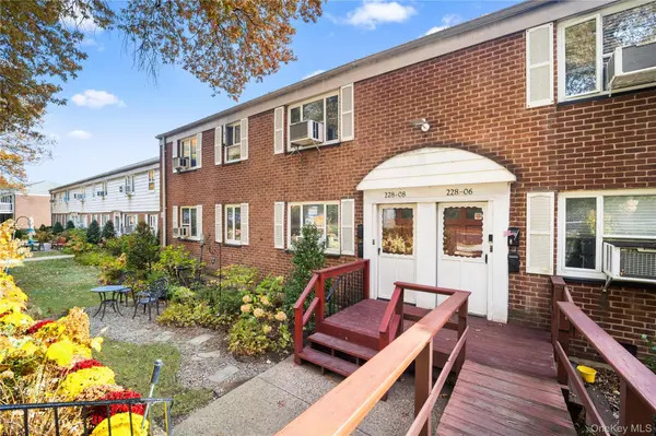 228-08 Stronghurst AVE #Lower, Queens Village, NY 11427