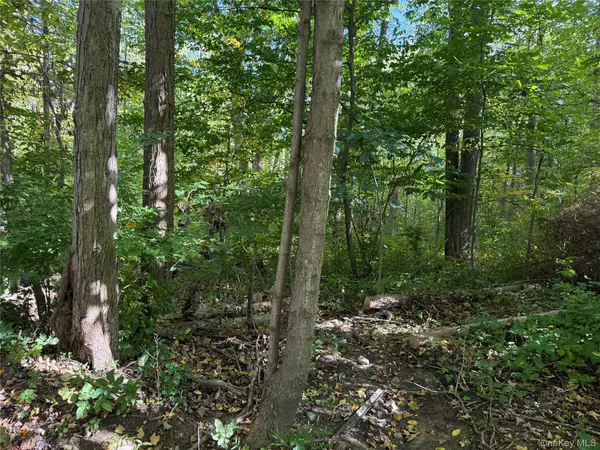 Ludington, Carmel, NY 10512