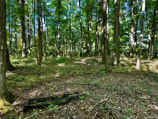 Freedom RD, Lagrangeville, NY 12569