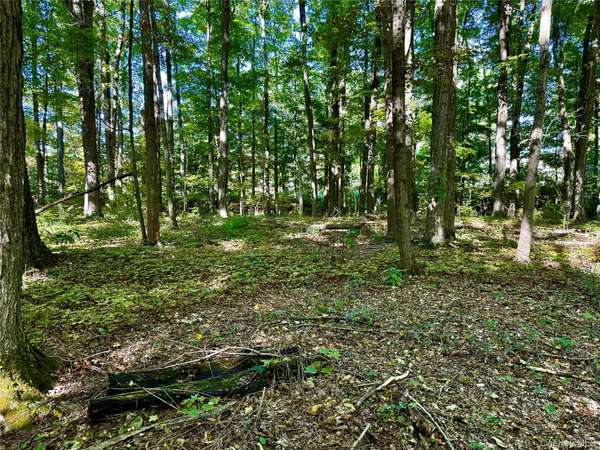 Freedom RD, Lagrangeville, NY 12569