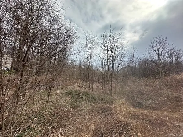 Lot 39 Roundhill RD, Hopewell Junction, NY 12533