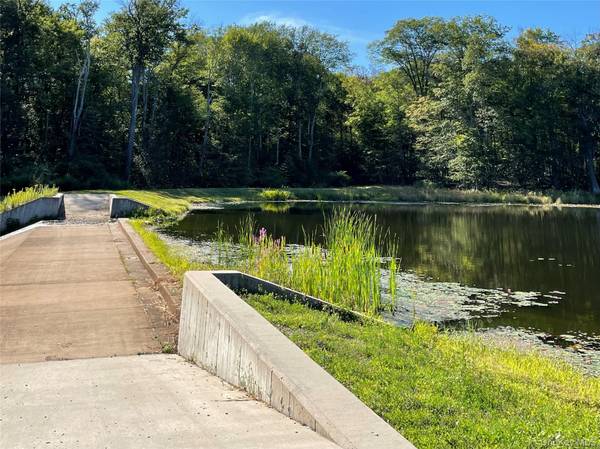 tbd Lake Shore DR, Pine Bush, NY 12566