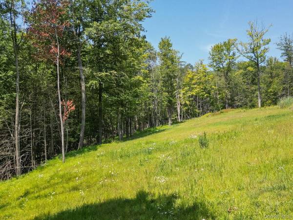 61 Hillside DR, Shokan, NY 12494