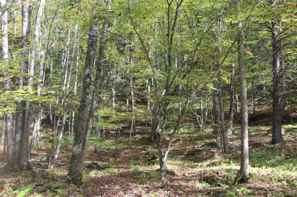 Peakville RD, Roscoe, NY 13783