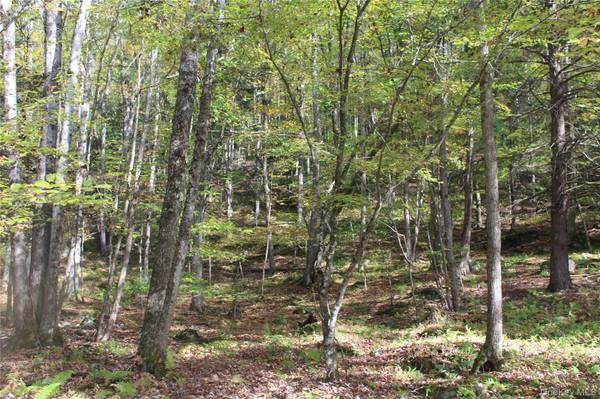 Peakville RD, Roscoe, NY 13783