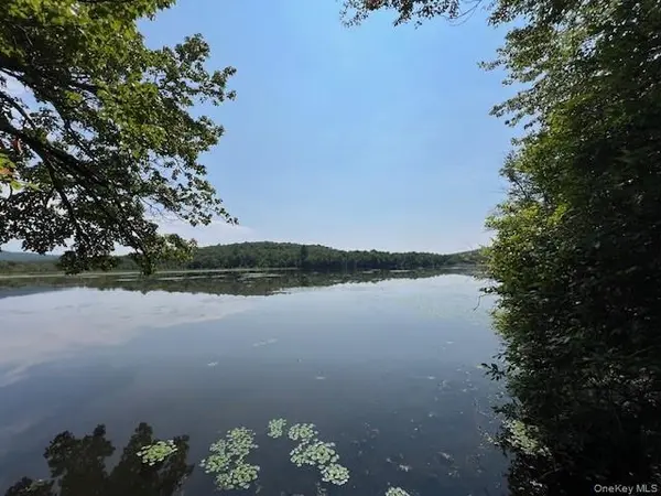 Lot 68 Shore RD, Swan Lake, NY 12783