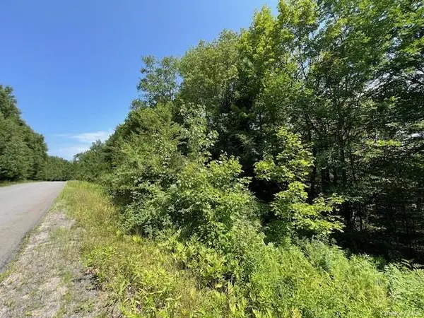 Lot 68 Shore RD, Swan Lake, NY 12783