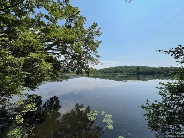 Lot 68 Shore RD, Swan Lake, NY 12783
