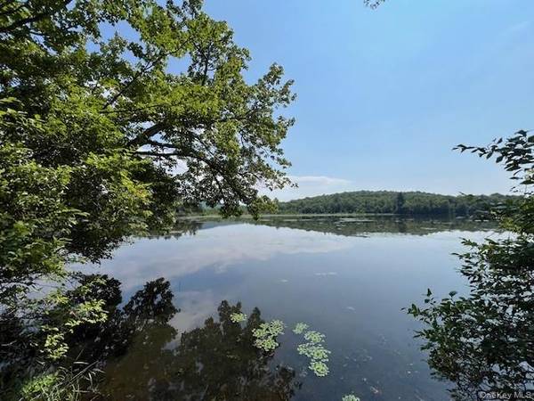 Lot 68 Shore RD, Swan Lake, NY 12783