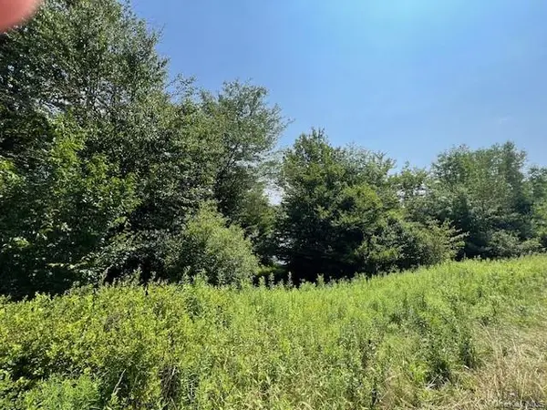 Lot 68 Shore RD, Swan Lake, NY 12783