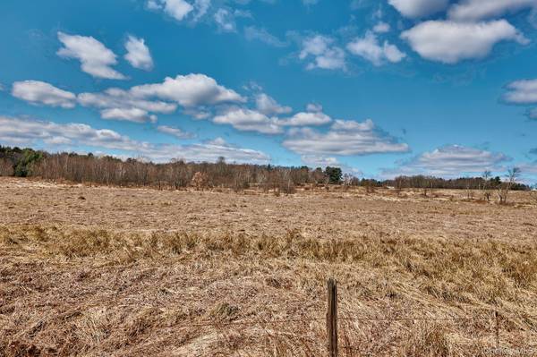 Lot 17.9 Shortcut Road, Cochecton, NY 12726