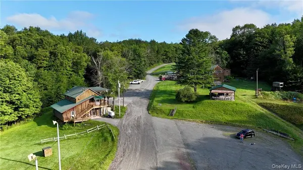 374 Neer RD, Long Eddy, NY 12760