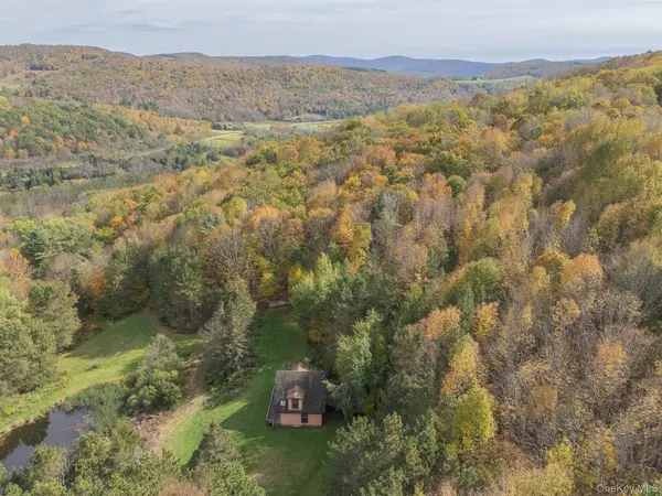 515 Magic Mountain RD, Bloomville, NY 13739