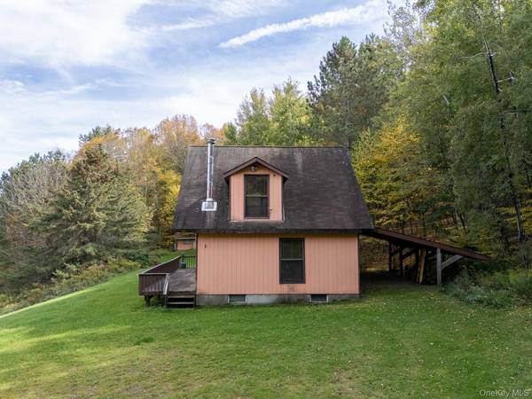 515 Magic Mountain RD, Bloomville, NY 13739
