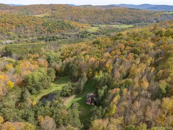 515 Magic Mountain RD, Bloomville, NY 13739