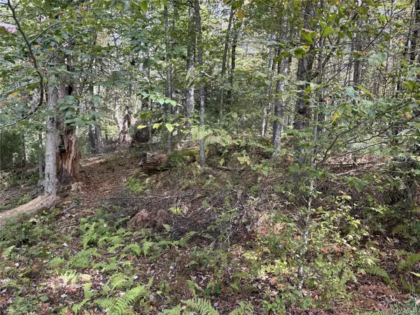 17 Lot 17 Desmond Crossing, Bethel, NY 12720