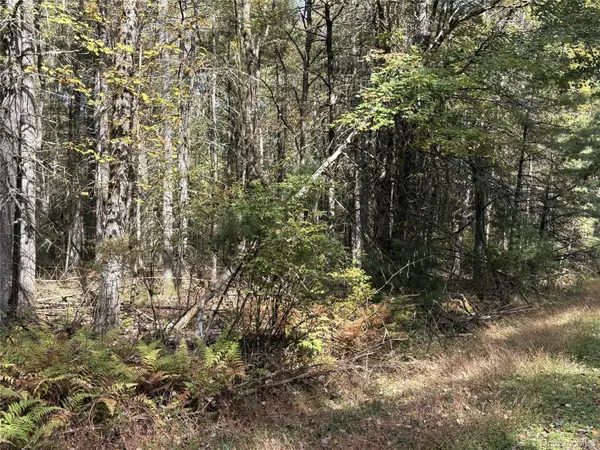 17 Lot 17 Desmond Crossing, Bethel, NY 12720