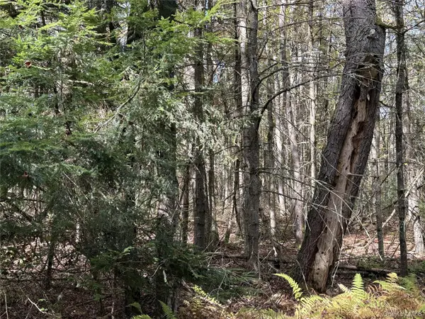 17 Lot 17 Desmond Crossing, Bethel, NY 12720