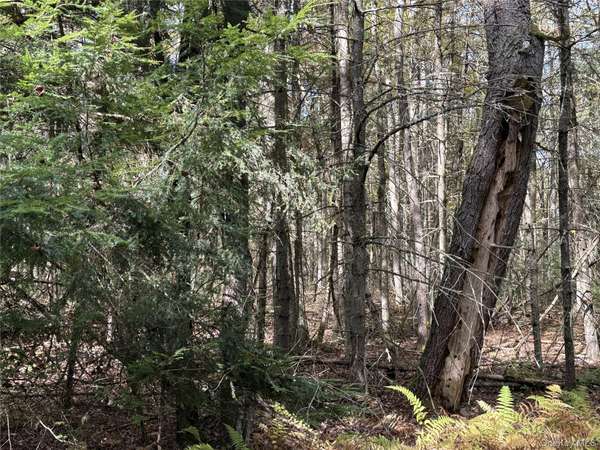 17 Lot 17 Desmond Crossing, Bethel, NY 12720