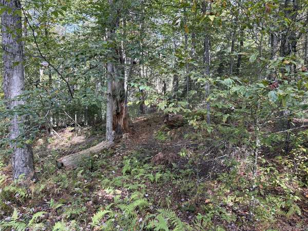 17 Lot 17 Desmond Crossing, Bethel, NY 12720